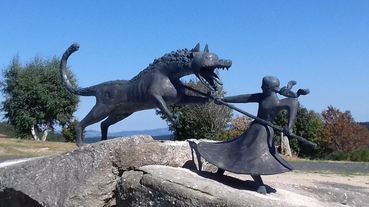 Le Puy-en-VelayLe Petit Dykeアパートメント エクステリア 写真