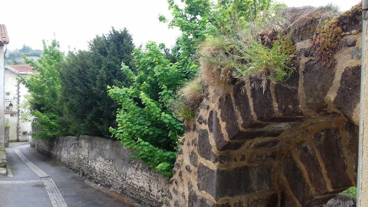 Le Puy-en-VelayLe Petit Dykeアパートメント エクステリア 写真